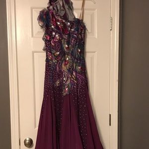 Peacock Ballroom Dancing Dress